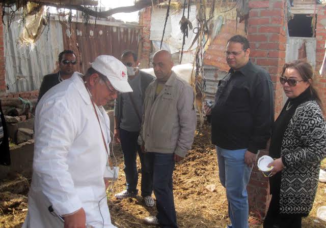 قافلة بيطرية4