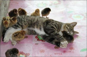 10926208_864983506931934_980257469836691259_n