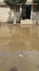 الادارة العامة لمكافحة الامراض المتوطنة بمستشفى الصدر المنصورة- تتساهم في توطين الأمراض والعدوي - اوراق عربية 