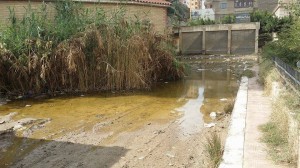 الادارة العامة لمكافحة الامراض المتوطنة بمستشفى الصدر المنصورة- تكافح الأمراض علي طريقتها الخاصة - اوراق عربية 