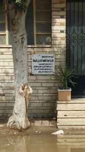 الادارة العامة لمكافحة الامراض المتوطنة بمستشفى الصدر المنصورة3