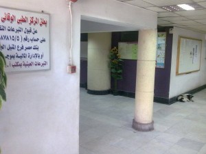  صورة اخري توضح  تواجد كلب داخل  مركز الطب الوقائي بالقاهرة - أوراق عربية 