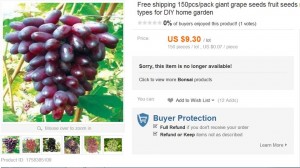 11053120_1643288625884426_4899615162404114219_n