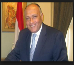 وزير الخارجية - سامح شكري