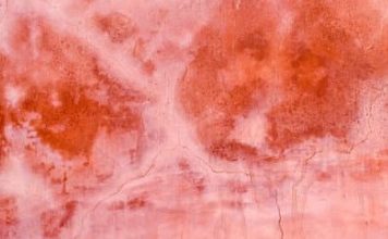 Photo of المادر العربي يثور _إيمان شاميه /خاص لأوراق عربية