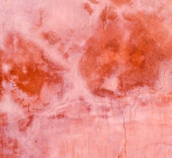 دم علي حائط- أوراق عربية