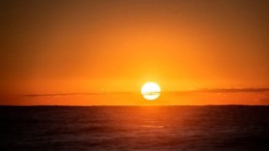 Photo of ستشرق بعد قليل _إيمان شاميه /خاص لأوراق عربية