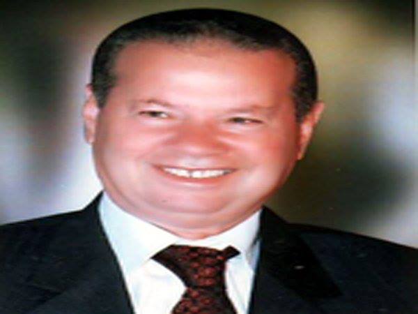 المهندس / محمد السيد