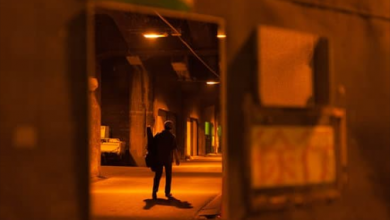 Photo of مصطفي الشيشي يكتب لأوراق عربية  .. ” عابر سبيل  ” – قصائد عامية