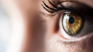 Photo of عيون نداهة  ….تامر عزب لأوراق عربية