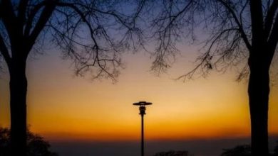 Photo of النبي  والصبي  …. قصيدة عامية لحامد بدر  – خاص لأواق عربية