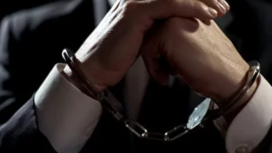 Photo of لا جوازنا مش #كلبش … علا عبد الرؤوف لأوراق عربية