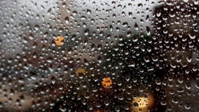 Photo of لما الشتا يدق البيبان … منه هاشم – أوراق عربية