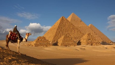 رجل علي جمل أمام الأهرامات - أوراق عربية