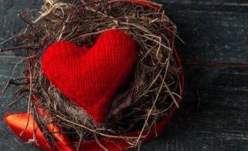 Photo of أمين نبيل لموقع أوراق عربية  …. وتر الحنين مقطوع