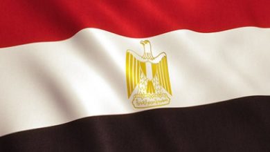 Photo of رانا زيد لموقع أوراق عربية – الاختيار …. فطر قلب الشعب