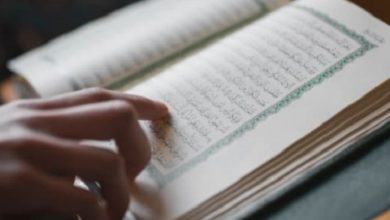 Photo of حامد بدر لموقع أوراق عربية  ….  التقدير والتسيير في علم الله القدير – خواطر