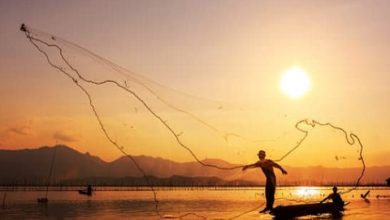 Photo of هند محسن لموقع أوراق عربية ……  عودة   – قصيدة عامية