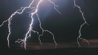 Photo of كريمان الفقي لموقع أوراق عربية …..  علي عتبة الليل