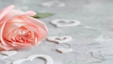 Photo of رنا جيرة الله لموقع أوراق عربية ……  ومن الحب ما قتل