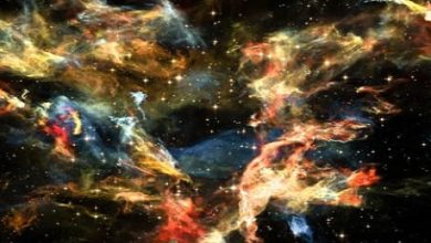 Photo of هند محسن لموقع أوراق عربية …. من أول الدنيا